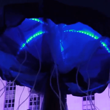 Glow with the Flow, Kinetic light installation